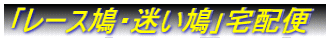 ����[�X���E���������z��