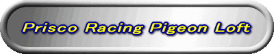 Prisco Racing Pigeon Loft 
